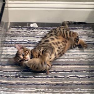 Meet your Posher, Jacob